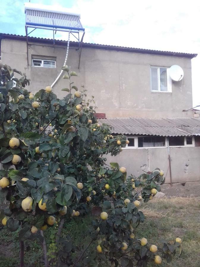Udabno Naili Hotel Exterior photo